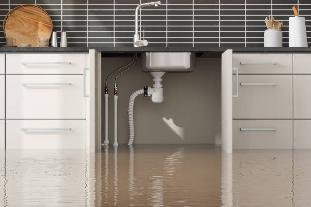 Best Sewage cleanup and water damage restoration  in Detroit Beach, MI